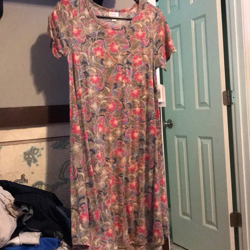 Lularoe Carly XXS dress
